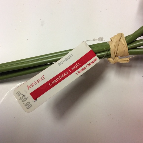 Ashland Christmas #3 Red Frosted Roses Bouquet - Picture 12 of 16